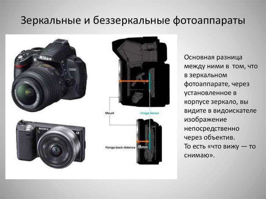 Как выбрать лучший фотоаппарат: body или kit? отличия и сравнение