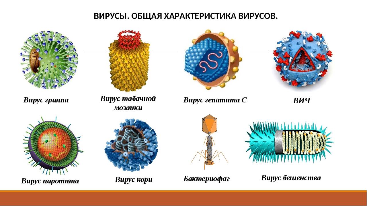 Отличия симптомов гриппа, коронавируса и орви