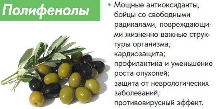 Обзор лучших маслин на 2024 год