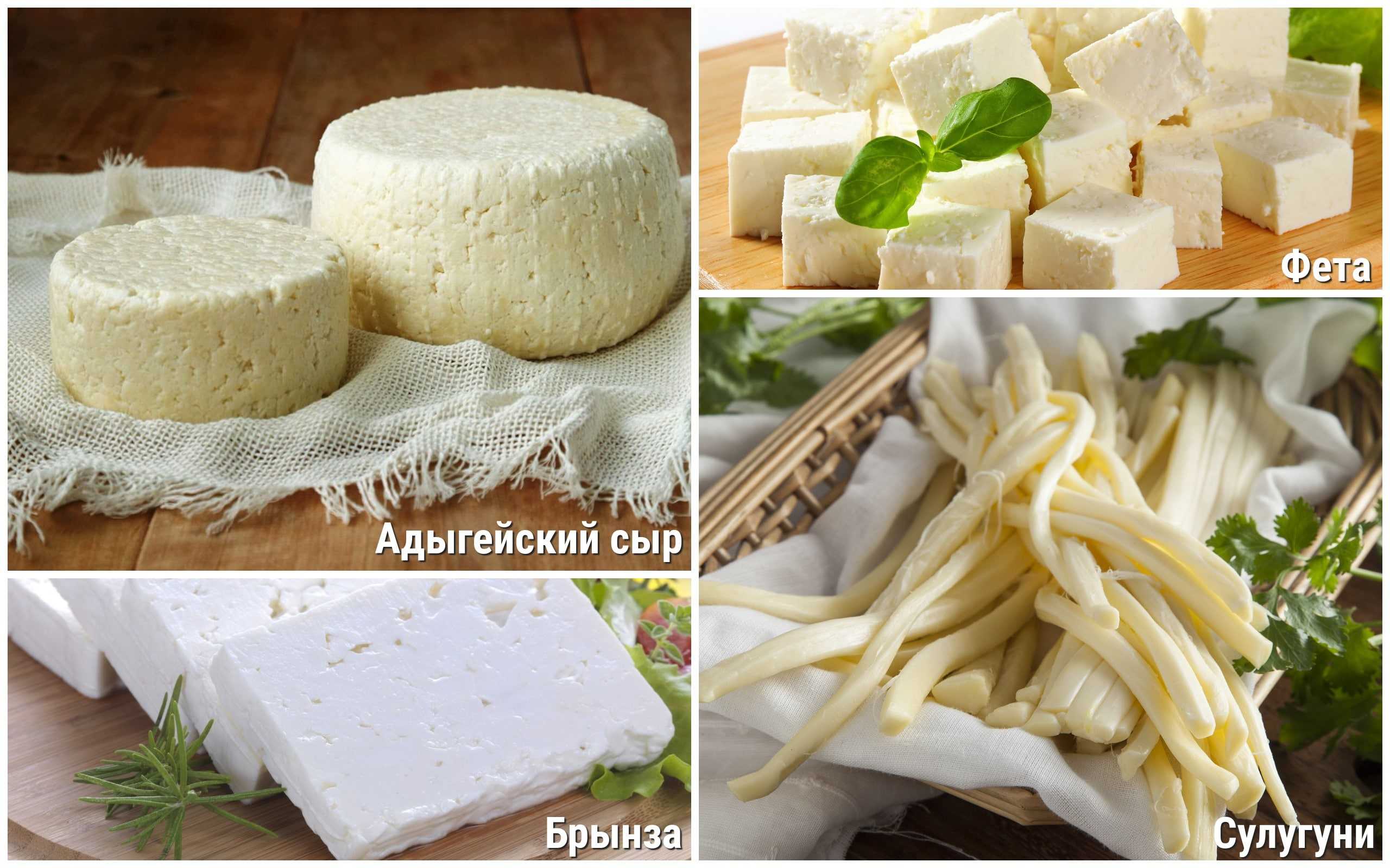 Брынза (bryndza) — состав, калорийность сыра, польза, вред, вино к сыру — cheezu