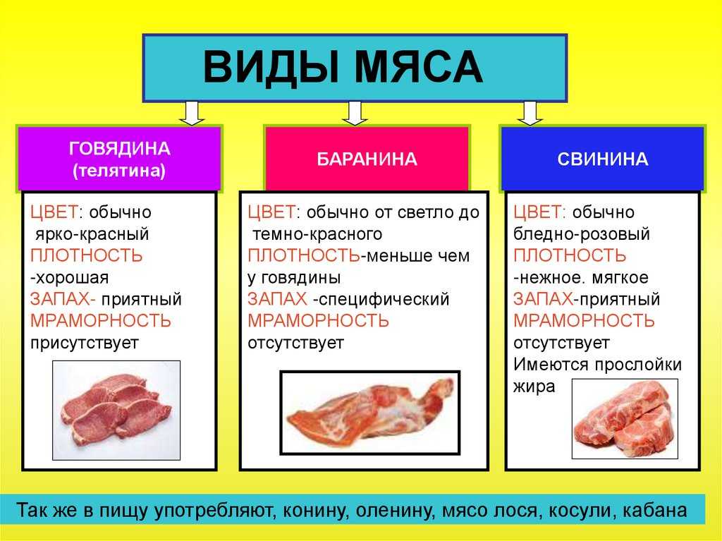 Как отличить телятину от свинины. как правильно выбрать свежее и отличить зараженное мясо (выбираем по советам специалистов)? как отличить говядину от свинины по цвету