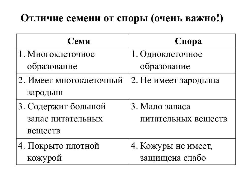 Голосеменные растения в отличие от папоротников образуют семена - у дачки