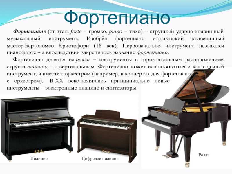 Что выбрать: фортепиано или синтезатор? | моя мечта