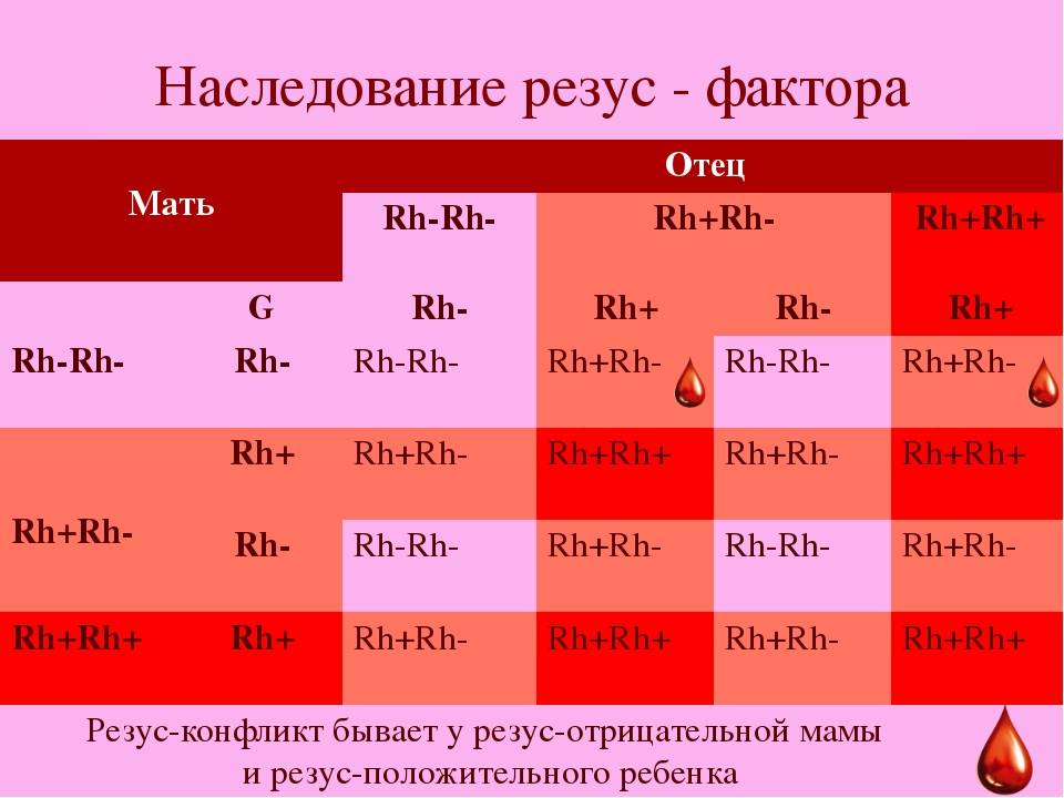 Кровный интерес: группа крови и резус-факторforpost - здоровье |