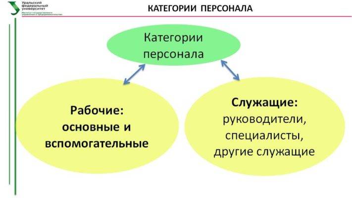 Чем отличается рабочий от специалиста. чем специалисты отличаются от служащих. на какие категории делится персонал