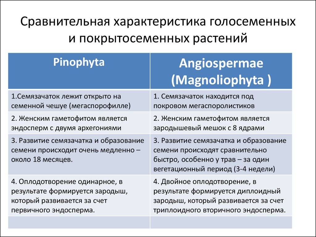 Для покрытосеменных в отличие от голосеменных характерно наличие размножение семенами - у дачки