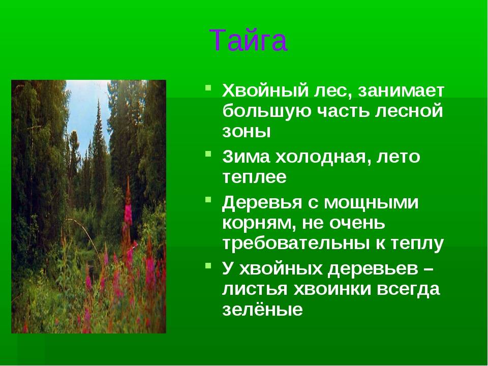 Урок 6: природные зоны россии - 100urokov.ru