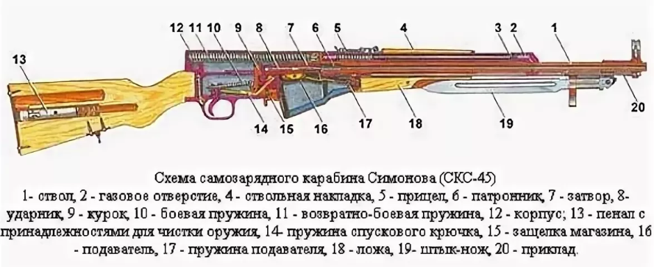Нарезной охотничий карабин: обзор, описание, дальность поражения, фото и отзывы