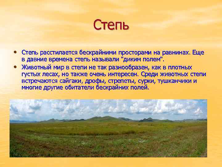Вывод: и тундра, и степь - безлесные зоны. разница между степью и тундрой