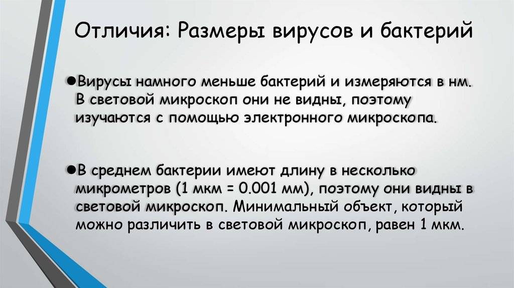 Есть ли разница между бактериальными и вирусными инфекциями?