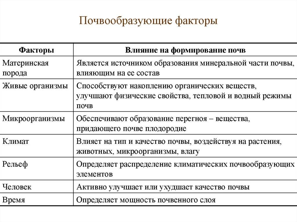 Условия почвообразования основных типов почв