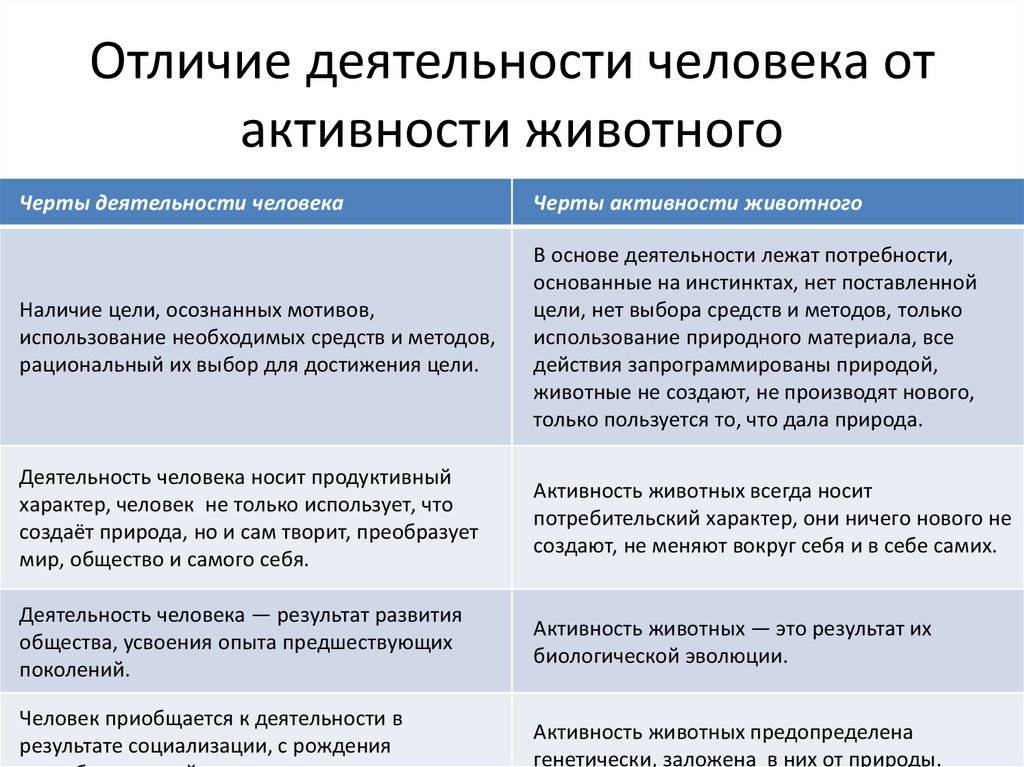 Чем отличается человек от животного — позиция в обществознании