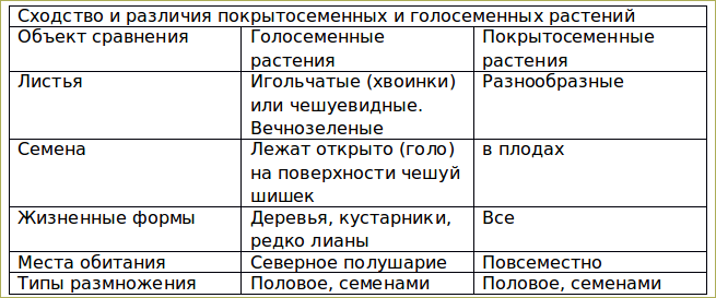 Многообразие голосеменных растений: классификация, особенности и сравнение с покрытосеменными