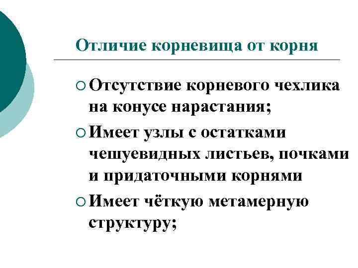 Стр 88 биология 6 класс учебник пасечник ответы гдз