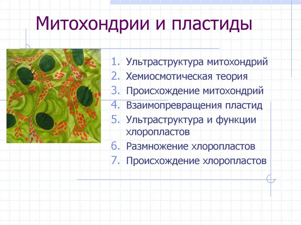 Microbiology note – online biology notes