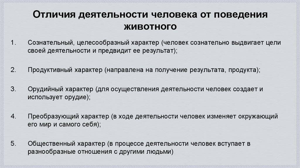 Различие между деятельностью человека и поведением животных