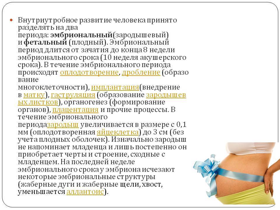 Акушерский срок
