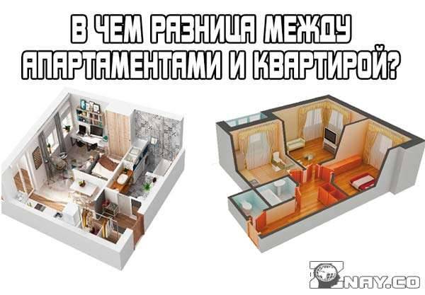 Чем отличаются апартаменты от квартиры: что это, в чем разница