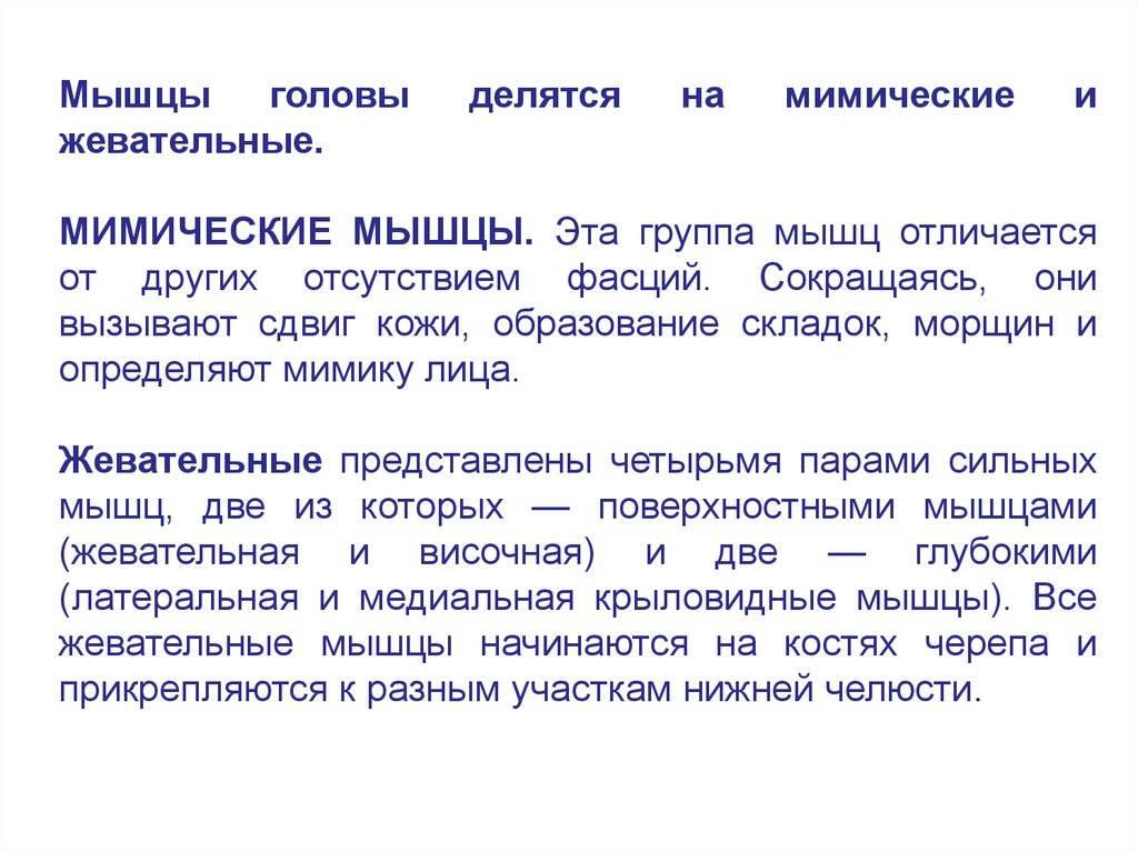 Основные функциональные мышцы и фасции головы - «ваш доктор» - ваш медицинский журнал