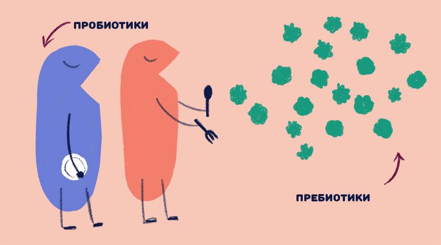 Каким должен быть идеальный пробиотик? - аптека "для человека"