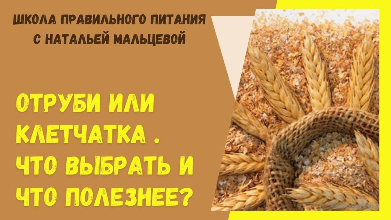 Клетчатка и отруби в чем разница: чем отличаются и что лучше?