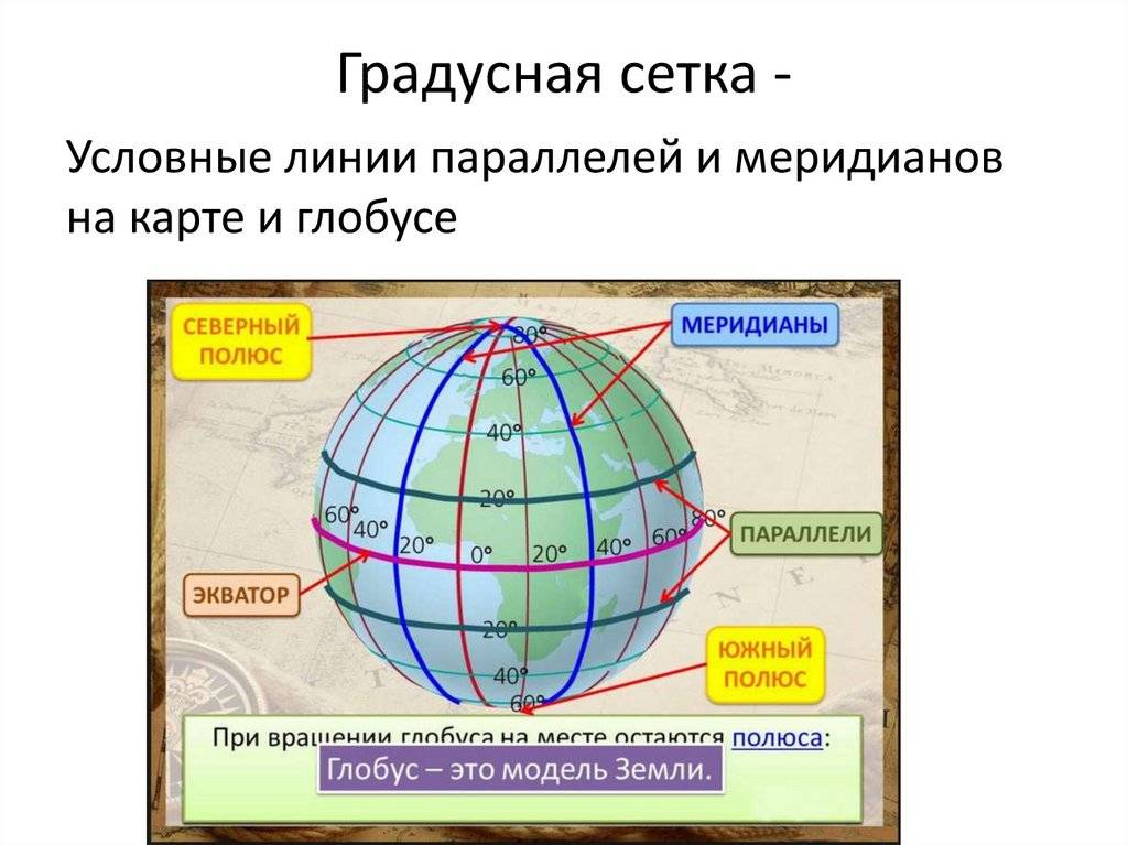 Самая главная параллель. Глобус с градусной сеткой. Карта с меридианами и параллелями. Карта с градусной сеткой. Параллели и меридианы.