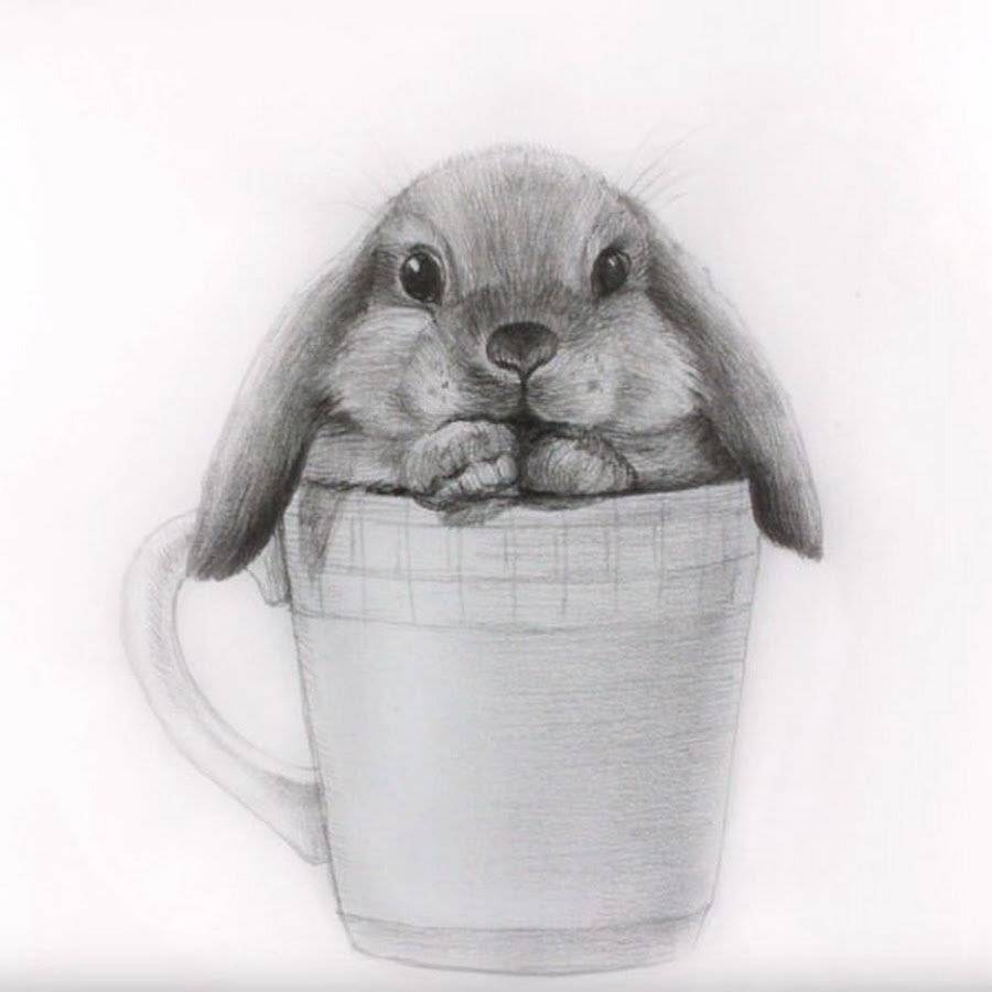 Как нарисовать кролика поэтапно карандашом - поэтапные инструкции для детей, фото идеи и примеры