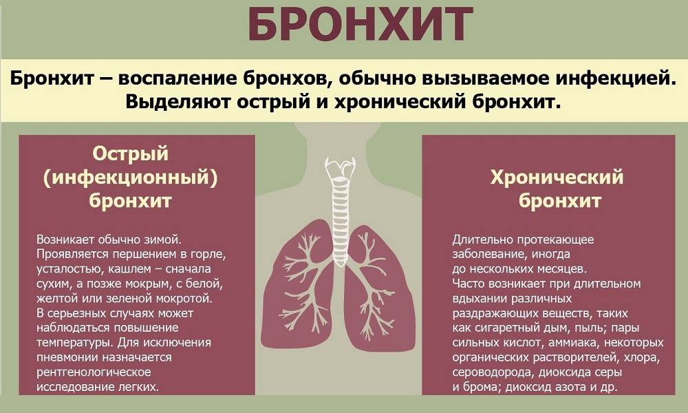 Бронхит и пневмония - отличия: как отличить, чем отличаются, симптомы у взрослых и детей, воспаление легких, что хуже