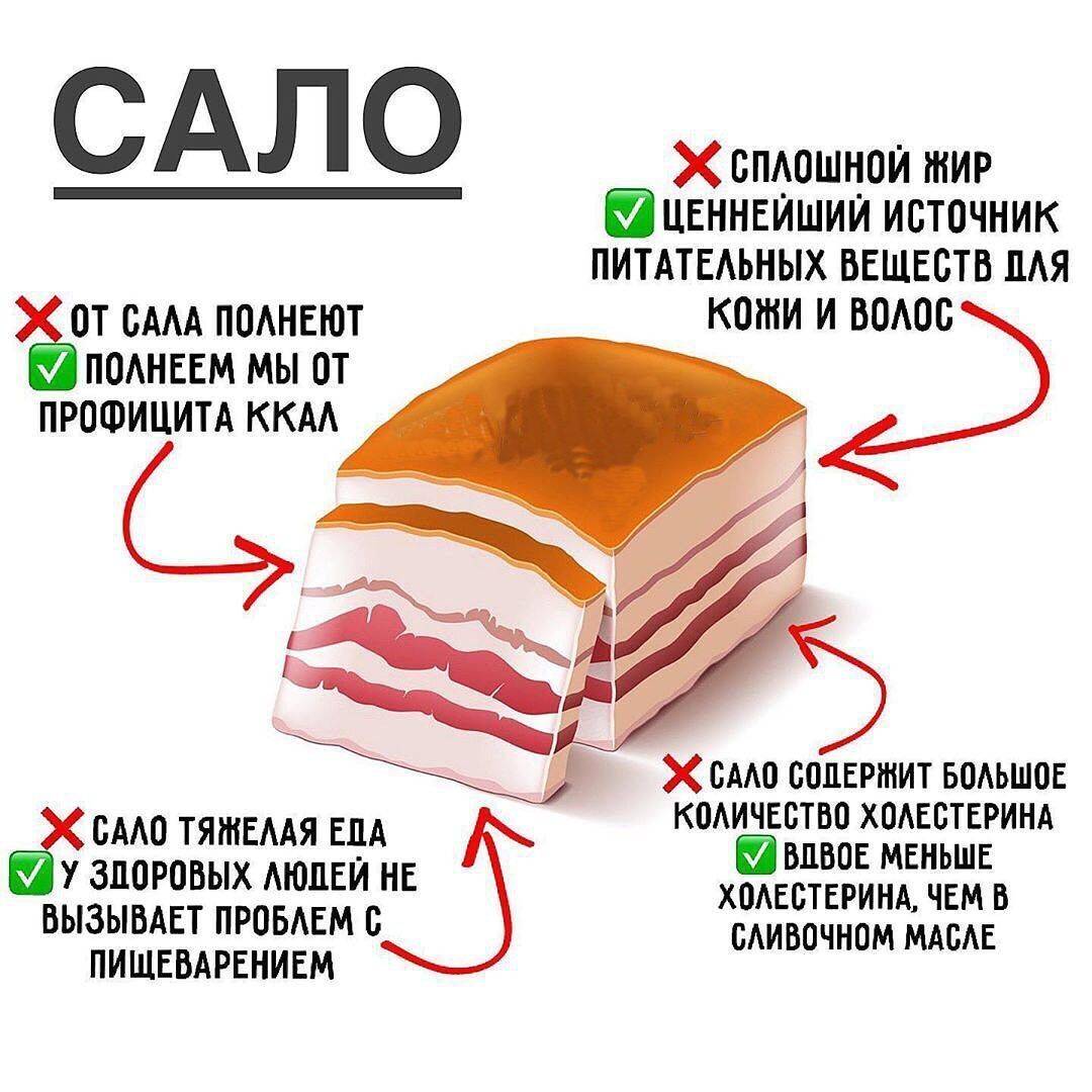 Выбираем идеальное сало 