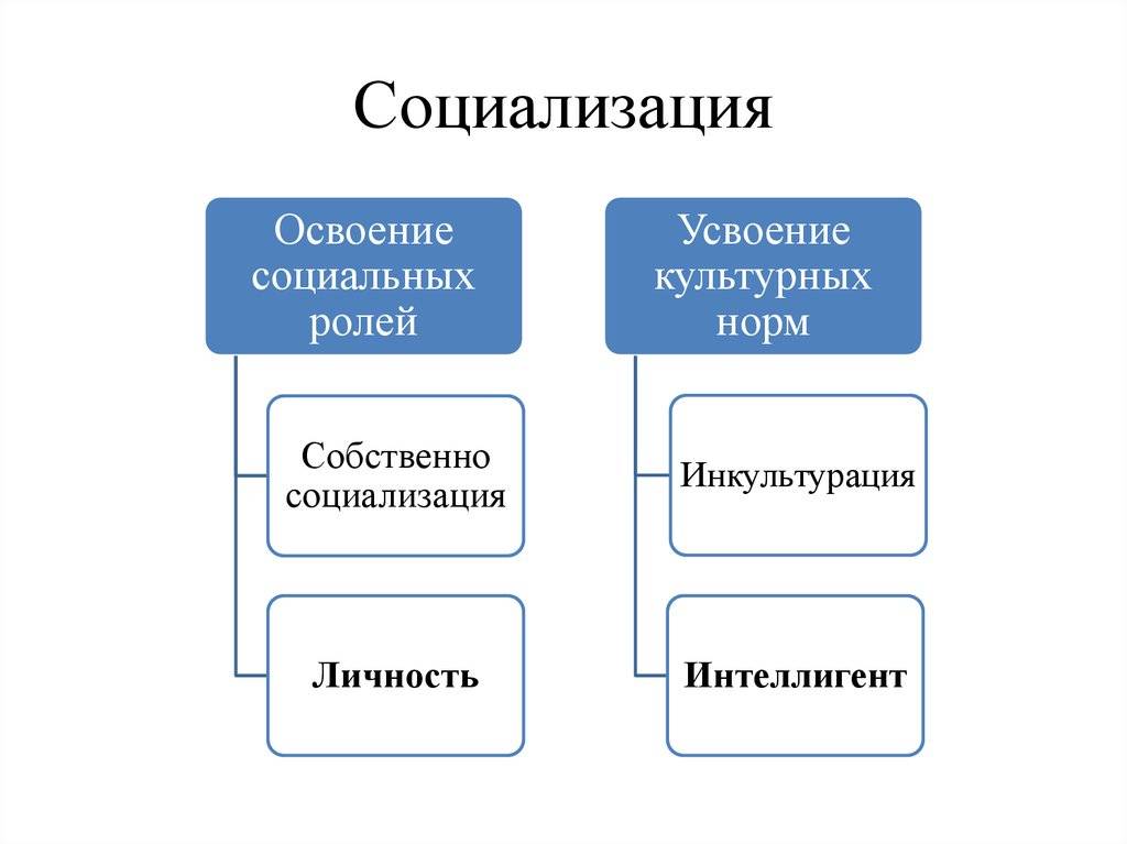 Некрасовский колледж - социализация и инкультурация детей разных национальностей