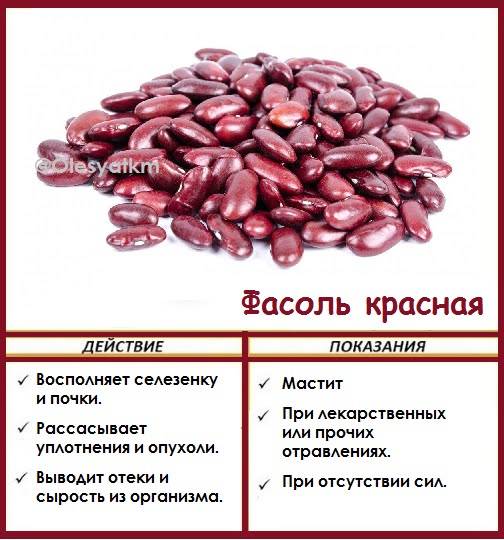 Какая фасоль более полезна красная или белая? | польза и вред