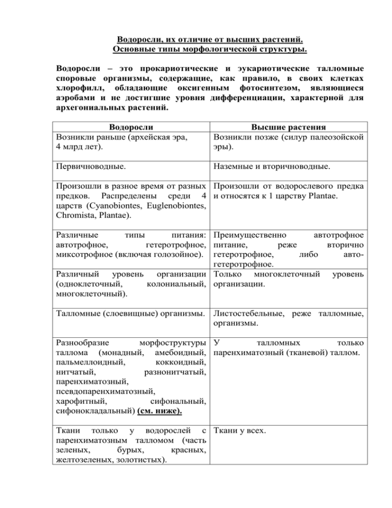 Чем папоротники отличаются от водорослей: разница и есть ли сходства
