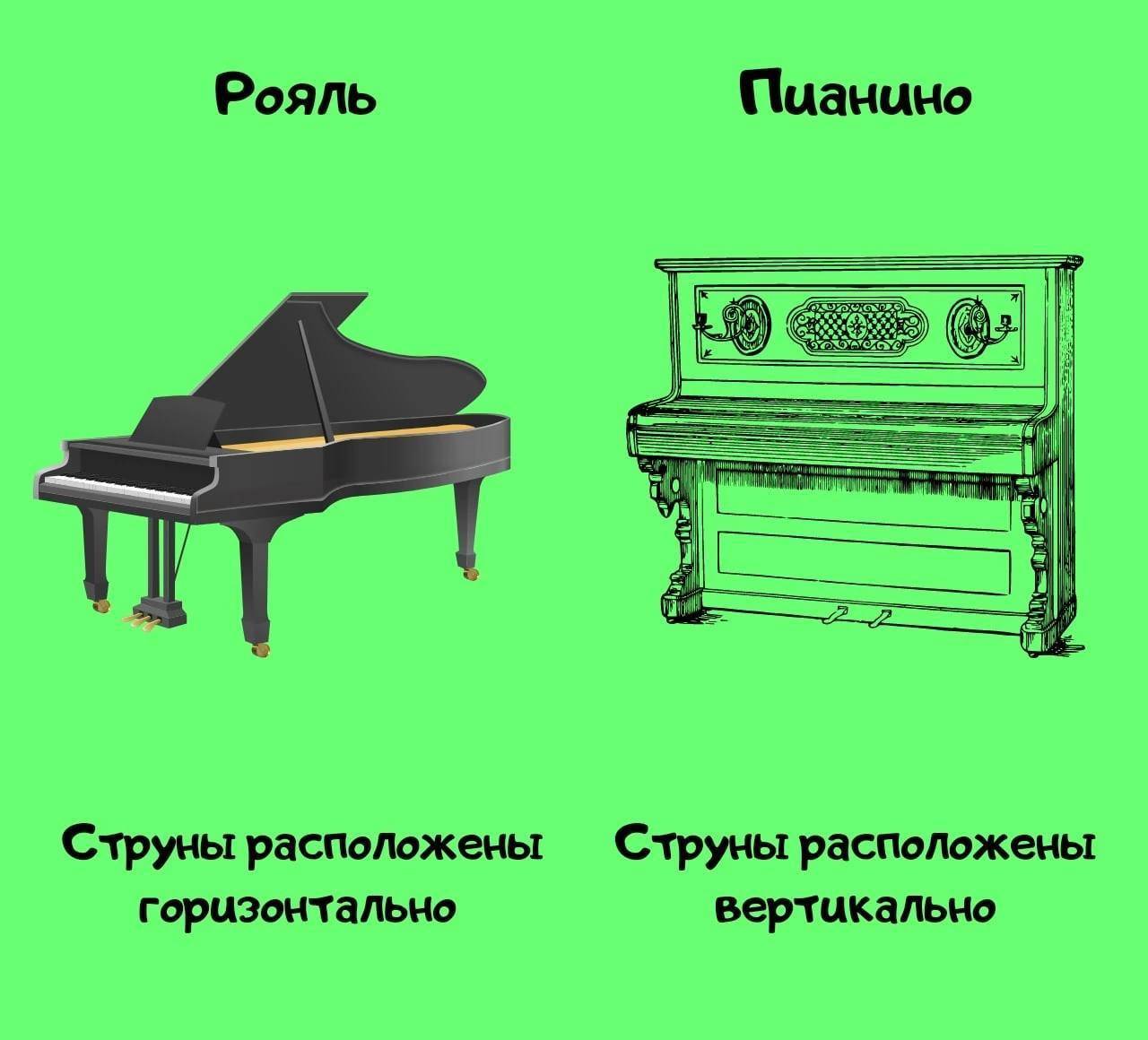Синтезатор или пианино: что выбрать для обучения игре на клавишных | виртуозы