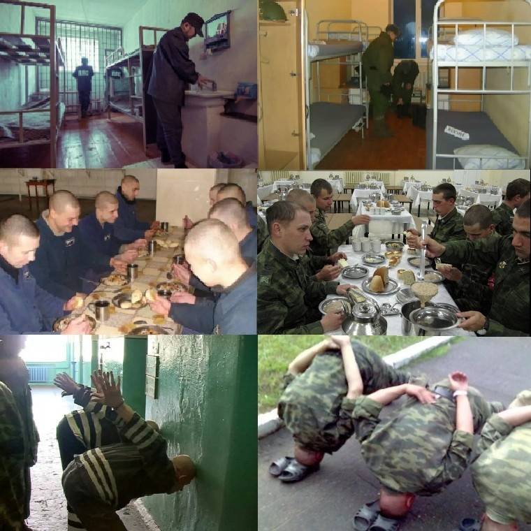 Разница в режимах: чем тюрьма отличается от колонии и других исправительных учреждений?