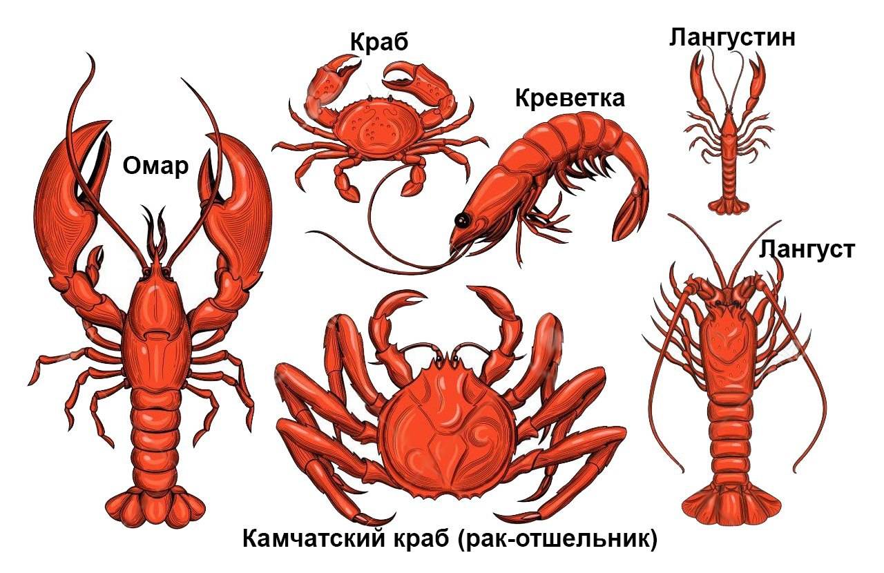 Национальные рыбные ресурсы