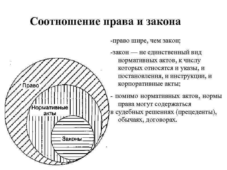 Соотношение понятий право и закон