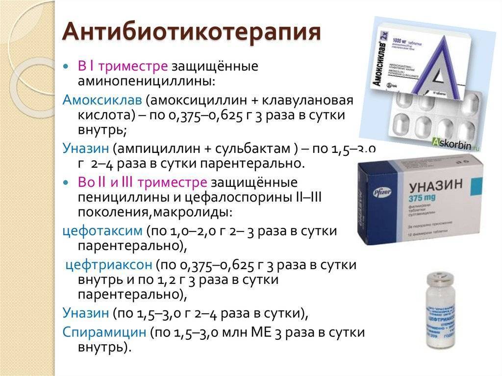 В чем разница между амоксициллином и амоксиклавом? – медицинский портал