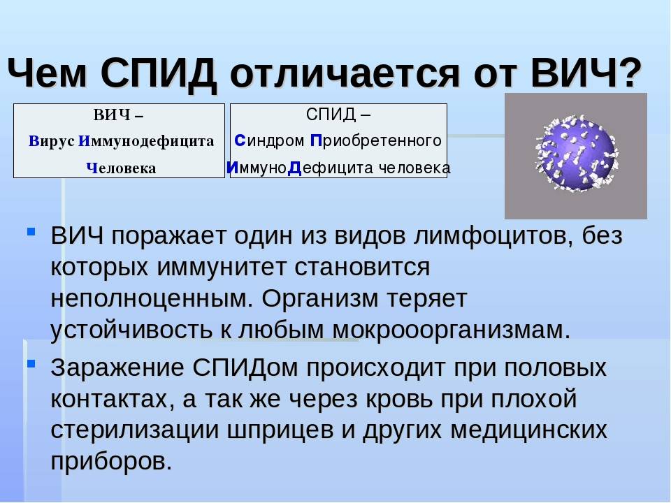 Вич, спид, иммунодефицит – в чем разница? узнай различие между понятиями