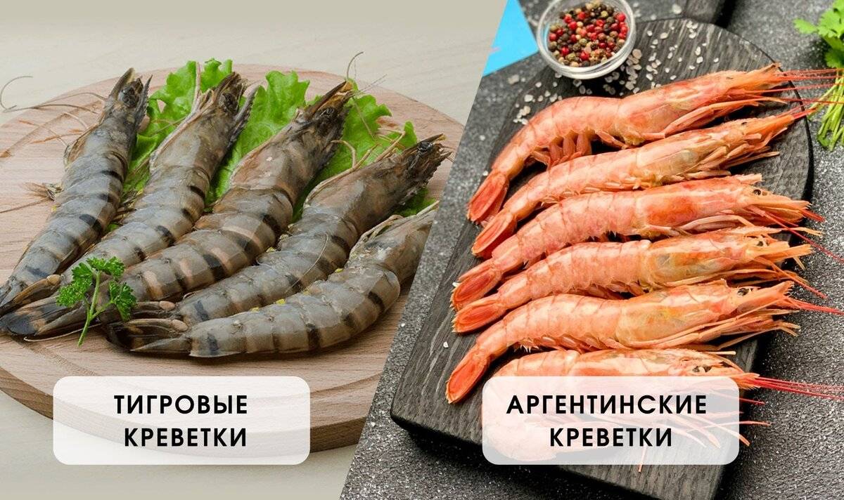 Разница между тигровыми и королевскими креветками