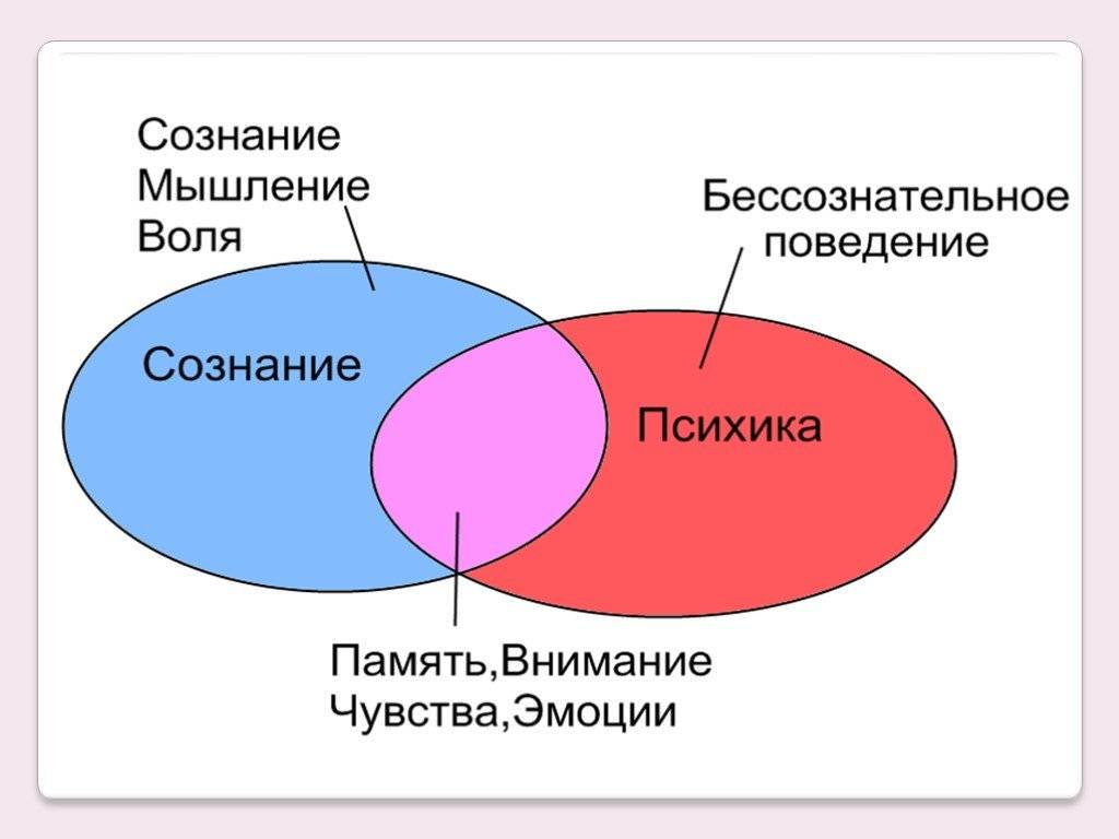 Сознательное, бессознательное и неосознаваемое: что это и в чём разница? / советник олег тет
