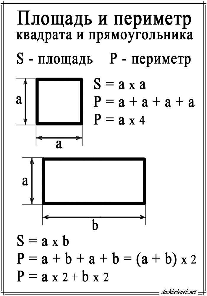Периметр и площадь прямоугольника