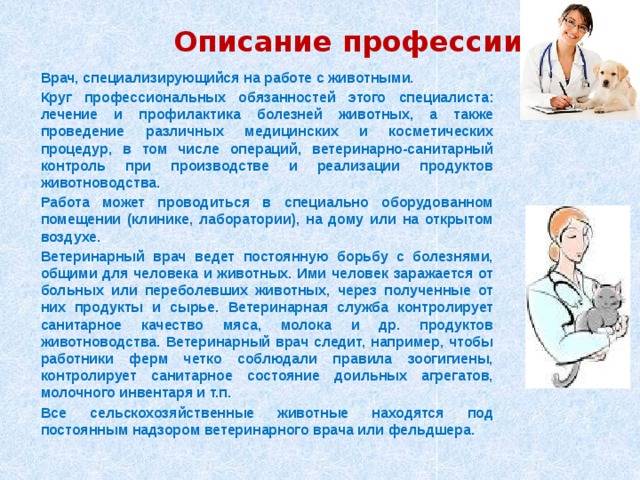 Наши специалисты