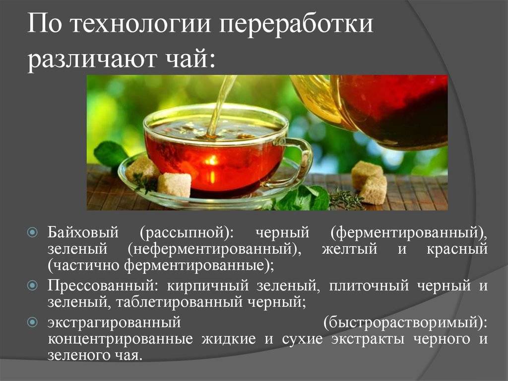 В чем разница между зеленым и черным чаем