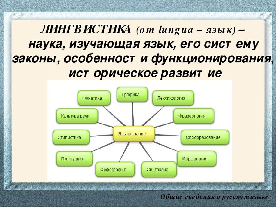 Лингвистика - виды специальности, зарплата, плюсы и минусы