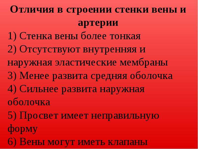 Вены и артерии - разница и сравнение - blogul 2024