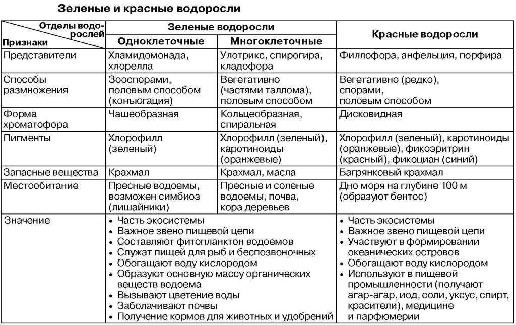 Сходство и различие строения мха и водоросли все что нужно знатьстатья рассматривает сходства и различия | 👩‍💻 темы и идеи для блога