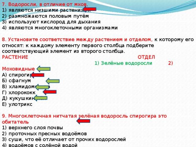 Разница между водорослями и мхом (с таблицей) - наука 2024