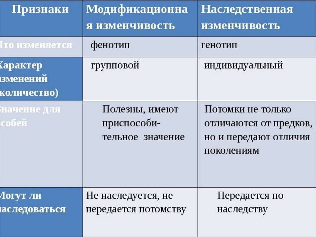 Отличие фенотипа от генотипа: понятия и примеры