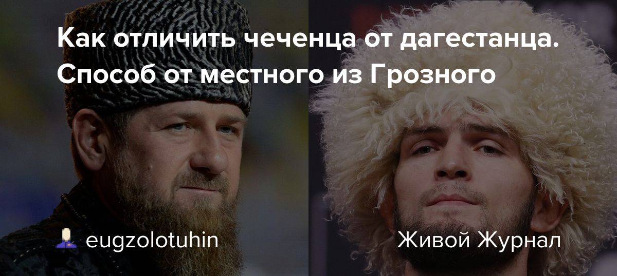 Различия между чечней и дагестаном: что отличает эти северокавказские республики?