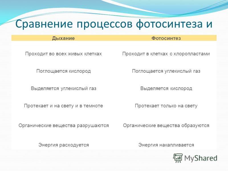 Чем дыхание отличается от фотосинтеза